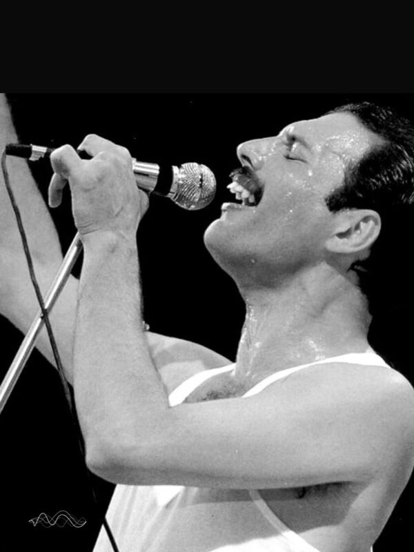Freddie Mercury